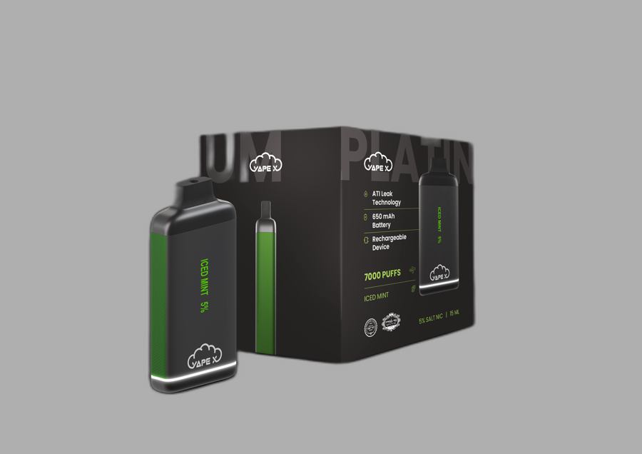 vapeX Iced Mint 5% Nicotine (10 Pack) disposable vape front product view
