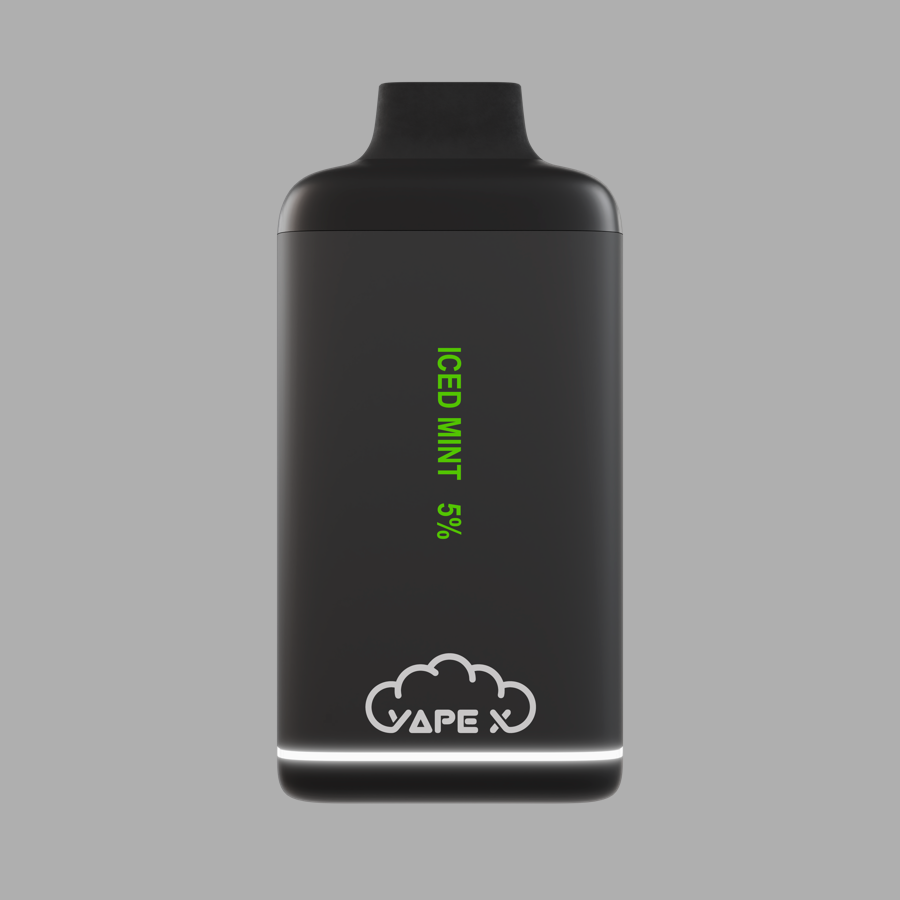 vapeX Iced Mint 5% Nicotine (10 Pack) disposable vape front product view
