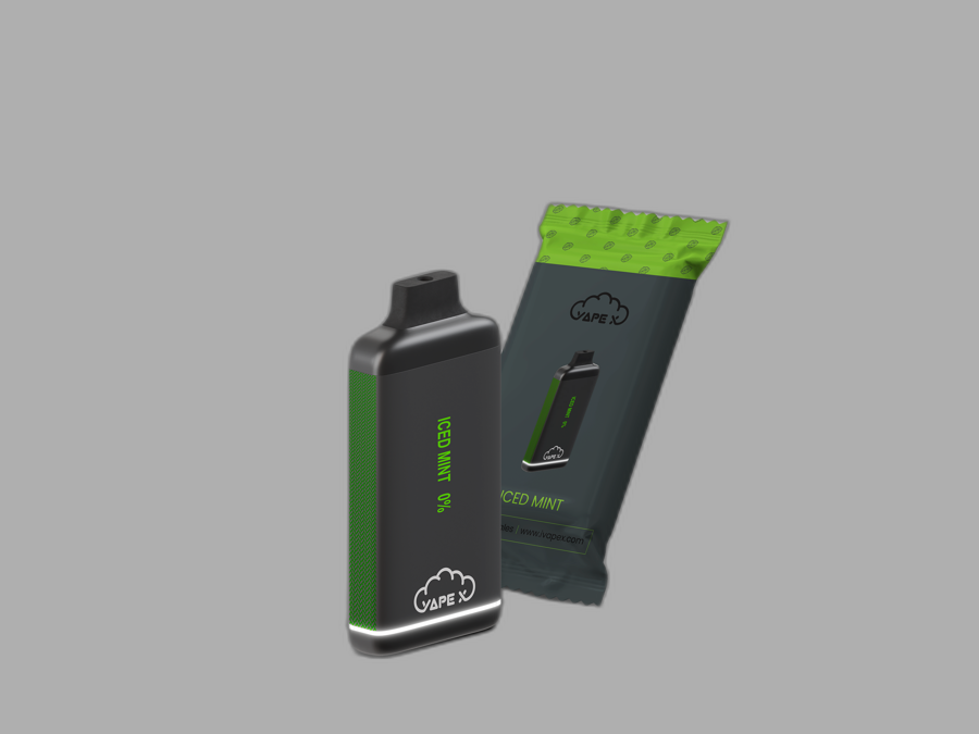 vapeX Iced Mint 0% Nicotine (10 Pack) disposable vape packaging detail view