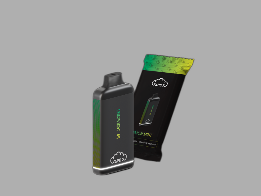 vapeX Lemon Mint 5% Nicotine (10 Pack) disposable vape packaging detail view