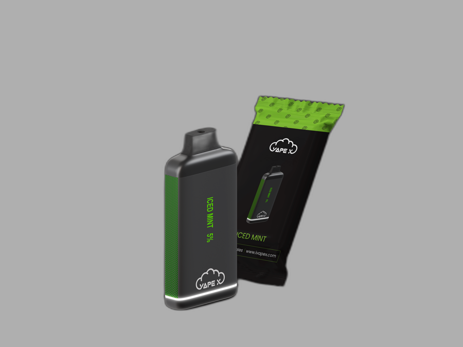 vapeX Iced Mint 5% Nicotine (10 Pack) disposable vape packaging detail view