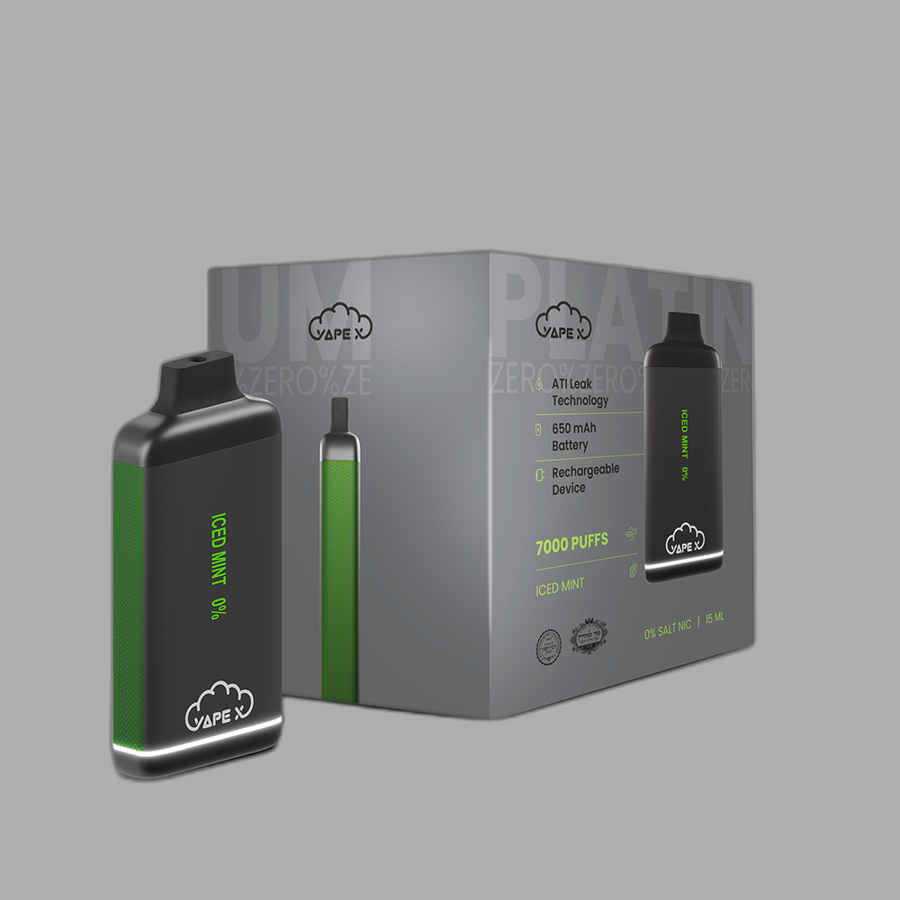 vapeX Iced Mint 0% Nicotine (10 Pack) disposable vape front product view